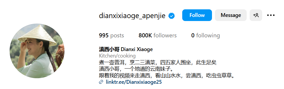 young chinese influencers